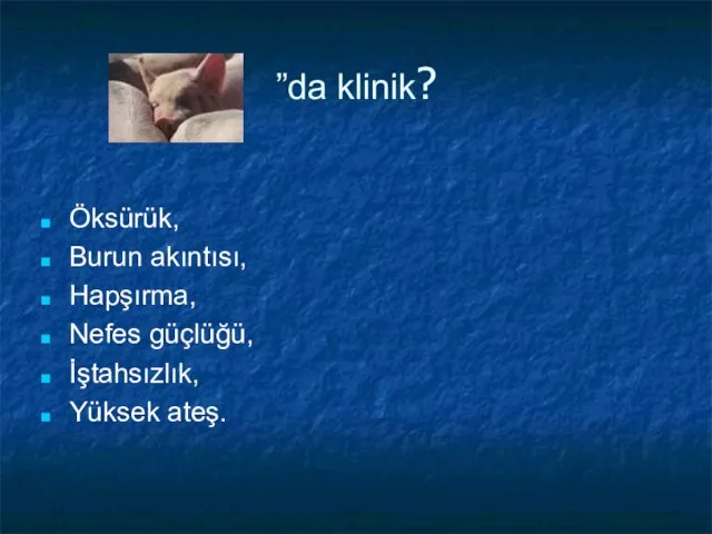 ”da klinik? Öksürük, Burun akıntısı, Hapşırma, Nefes güçlüğü, İştahsızlık, Yüksek ateş.