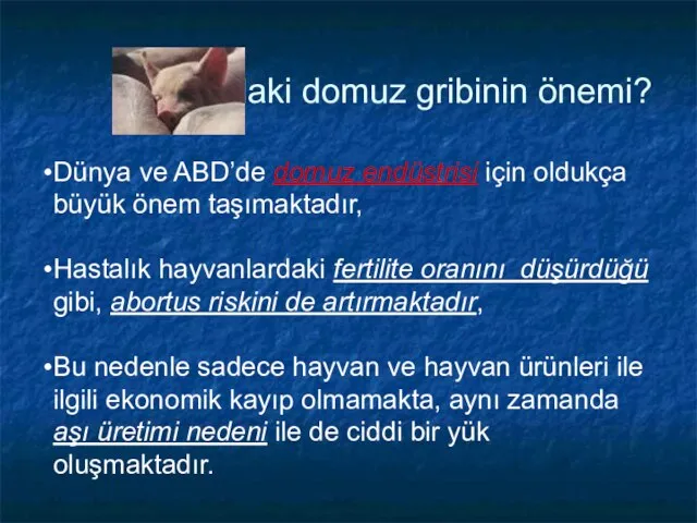 “daki domuz gribinin önemi? Dünya ve ABD’de domuz endüstrisi için oldukça büyük