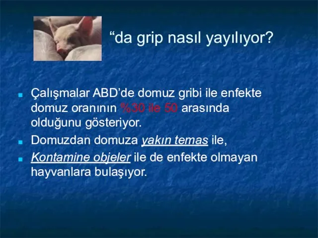 “da grip nasıl yayılıyor? Çalışmalar ABD’de domuz gribi ile enfekte domuz oranının