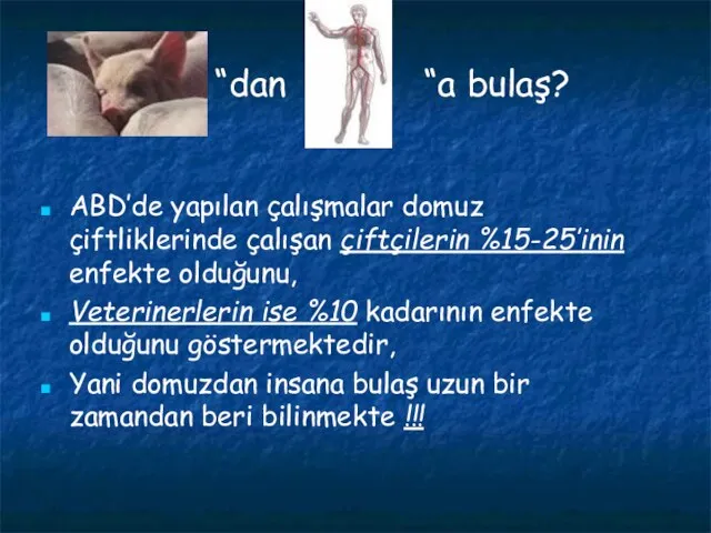 “dan “a bulaş? ABD’de yapılan çalışmalar domuz çiftliklerinde çalışan çiftçilerin %15-25’inin enfekte