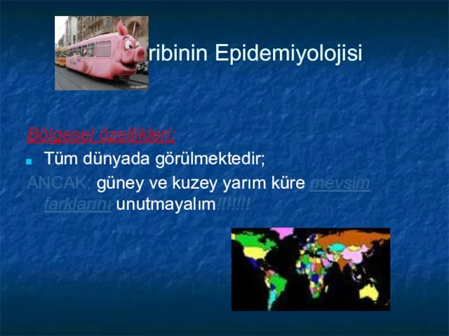 Gribinin Epidemiyolojisi Bölgesel özellikleri; Tüm dünyada görülmektedir; ANCAK; güney ve kuzey yarım küre mevsim farklarını unutmayalım!!!!!!!