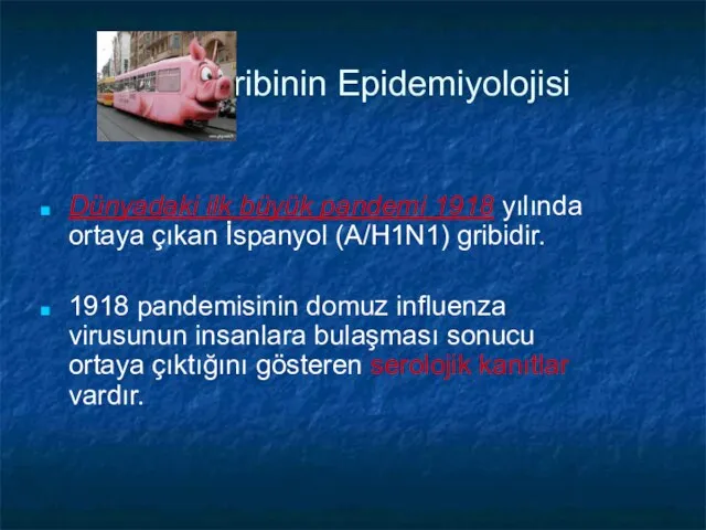 Gribinin Epidemiyolojisi Dünyadaki ilk büyük pandemi 1918 yılında ortaya çıkan İspanyol (A/H1N1)