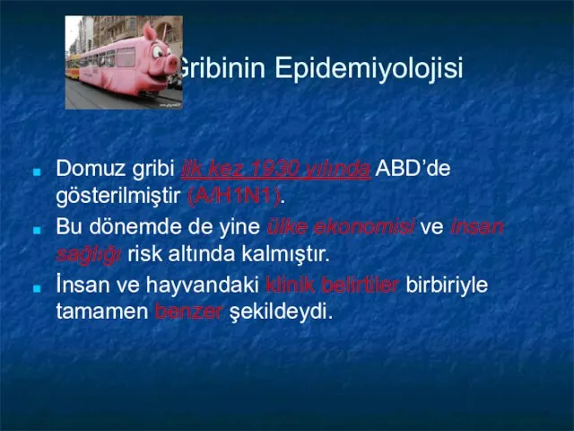 Gribinin Epidemiyolojisi Domuz gribi ilk kez 1930 yılında ABD’de gösterilmiştir (A/H1N1). Bu