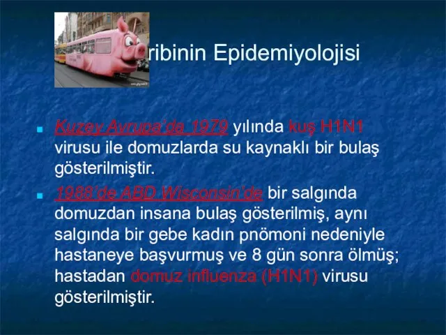 Gribinin Epidemiyolojisi Kuzey Avrupa’da 1979 yılında kuş H1N1 virusu ile domuzlarda su