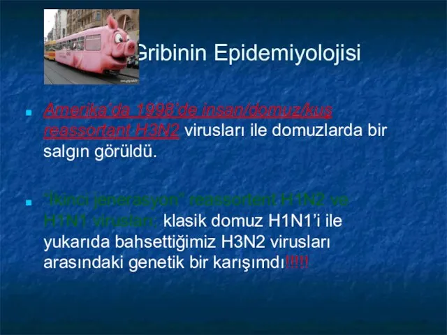 Gribinin Epidemiyolojisi Amerika’da 1998’de insan/domuz/kuş reassortant H3N2 virusları ile domuzlarda bir salgın