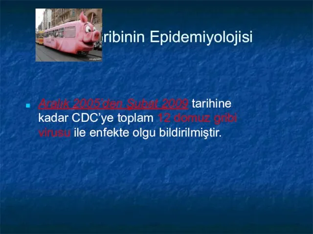 Gribinin Epidemiyolojisi Aralık 2005’den Şubat 2009 tarihine kadar CDC’ye toplam 12 domuz