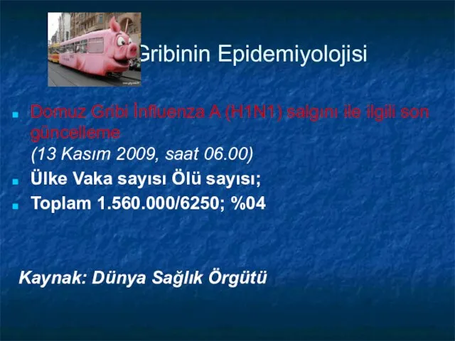 Gribinin Epidemiyolojisi Domuz Gribi İnfluenza A (H1N1) salgını ile ilgili son güncelleme