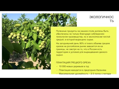 Полезные продукты на нашем столе должны быть обеспечены не только благодаря соблюдению