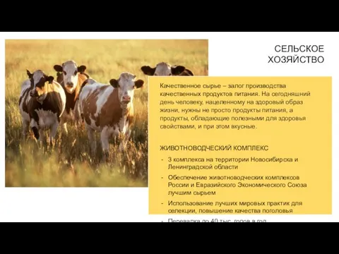 Качественное сырье – залог производства качественных продуктов питания. На сегодняшний день человеку,