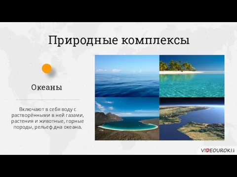 Природные комплексы Включают в себя воду с растворёнными в ней газами, растения