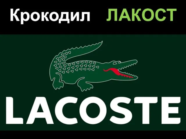 Крокодил ЛАКОСТ