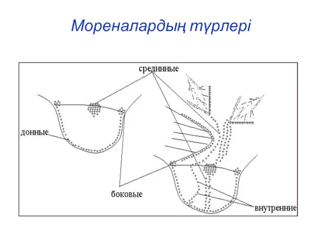 Мореналардың түрлері