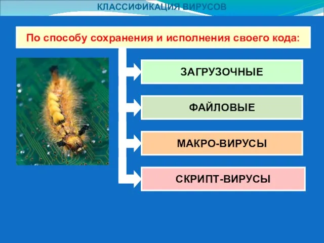 КЛАССИФИКАЦИЯ ВИРУСОВ По способу сохранения и исполнения своего кода: ЗАГРУЗОЧНЫЕ ФАЙЛОВЫЕ МАКРО-ВИРУСЫ СКРИПТ-ВИРУСЫ