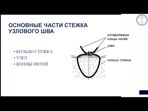 ОСНОВНЫЕ ЧАСТИ СТЕЖКА УЗЛОВОГО ШВА КОЛЬЦО СТЕЖКА УЗЕЛ КОНЦЫ НИТЕЙ