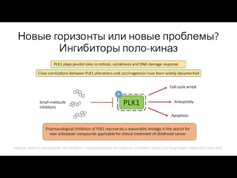 Новые горизонты или новые проблемы? Ингибиторы поло-киназ Pezuk JA, Valera ET, Brassesco