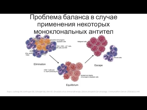 Проблема баланса в случае применения некоторых моноклональных антител Raja J, Ludwig JM,