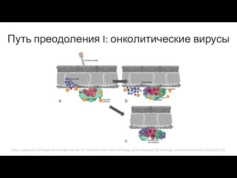 Путь преодоления I: онколитические вирусы Raja J, Ludwig JM, Gettinger SN, Schalper