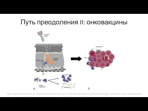 Путь преодоления II: онковакцины Raja J, Ludwig JM, Gettinger SN, Schalper KA,