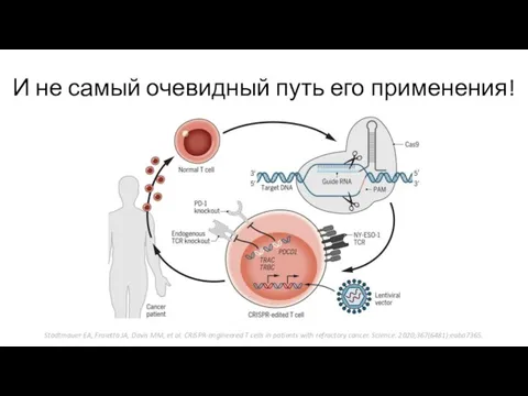 И не самый очевидный путь его применения! Stadtmauer EA, Fraietta JA, Davis