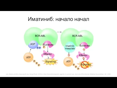 Иматиниб: начало начал Lee, Namsu & Kim, Kyoung & Lee, Sang-Cheol. (2011).