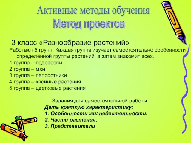 Активные методы обучения Метод проектов 3 класс «Разнообразие растений» Работают 5 групп.