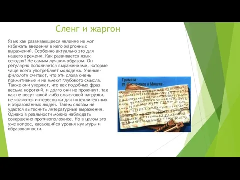 Сленг и жаргон Язык как развивающееся явление не мог избежать введения в