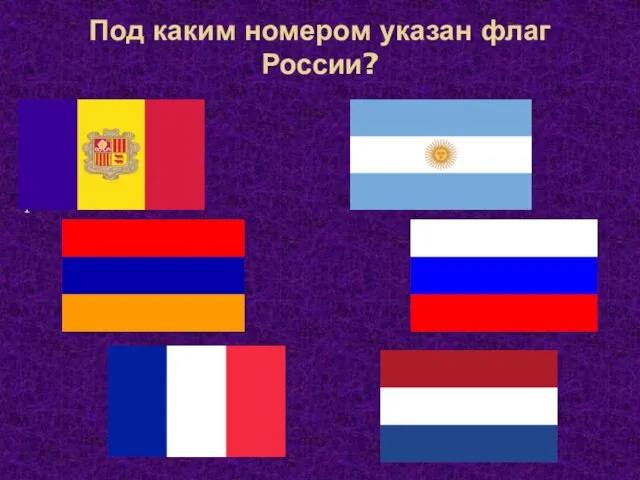 Под каким номером указан флаг России? 211\1