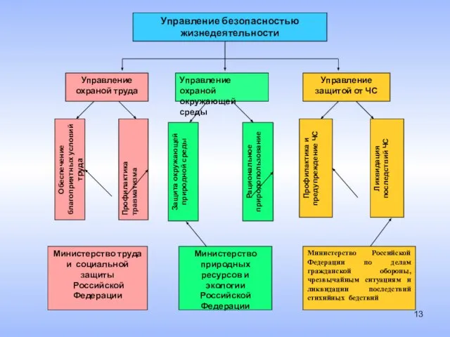 Управление безопасностью жизнедеятельности Управление охраной труда Управление охраной окружающей среды Управление защитой