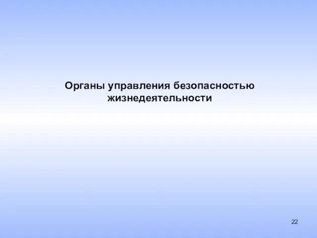 Органы управления безопасностью жизнедеятельности