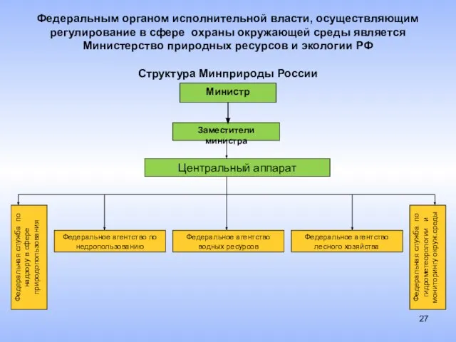 Федеральным органом исполнительной власти, осуществляющим регулирование в сфере охраны окружающей среды является