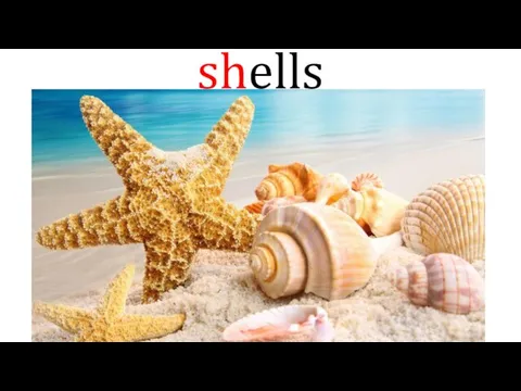 shells