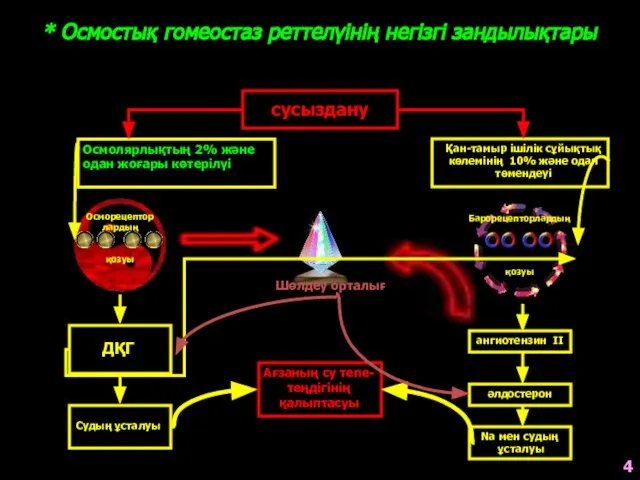 * Осмостық гомеостаз реттелүінің негізгі зандылықтары сусыздану Қан-тамыр ішілік сұйықтық көлемінің 10%