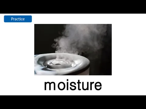 moisture