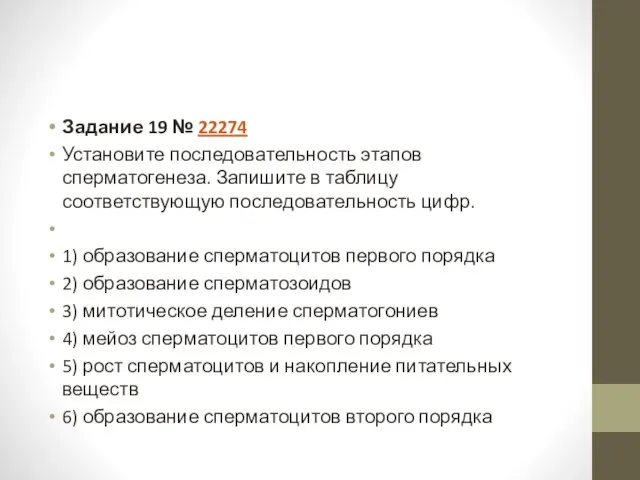 Задание 19 № 22274 Установите последовательность этапов сперматогенеза. Запишите в таблицу соответствующую