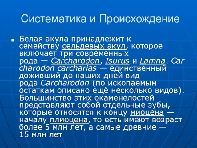 Систематика и Происхождение Белая акула принадлежит к семейству сельдевых акул, которое включает