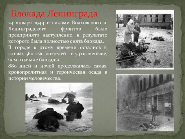 24 января 1944 г. силами Волховского и Ленинградского фронтов было предпринято наступление,