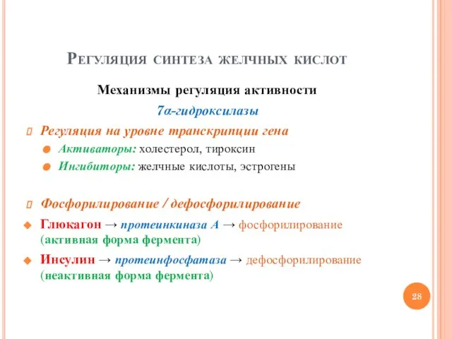 Регуляция синтеза желчных кислот Механизмы регуляция активности 7α-гидроксилазы Регуляция на уровне транскрипции