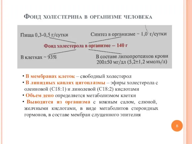 Фонд холестерина в организме человека В мембранах клеток – свободный холестерол В