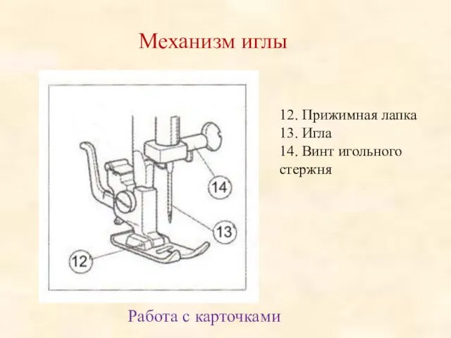 12. Прижимная лапка 13. Игла 14. Винт игольного стержня Механизм иглы Работа с карточками