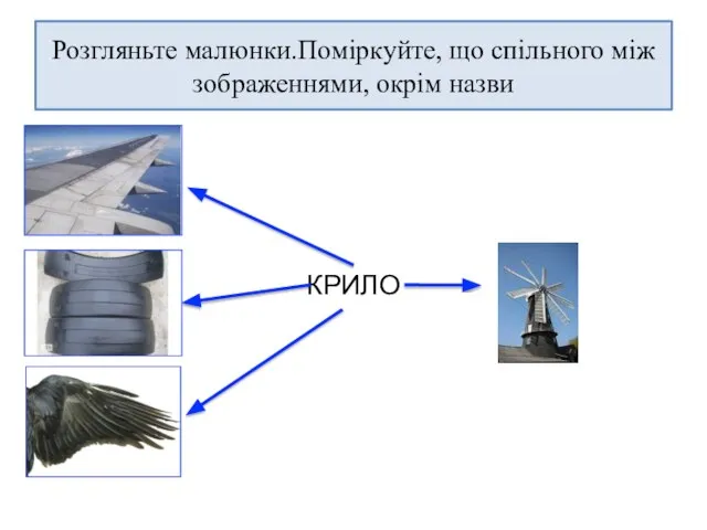 Розгляньте малюнки.Поміркуйте, що спільного між зображеннями, окрім назви КРИЛО