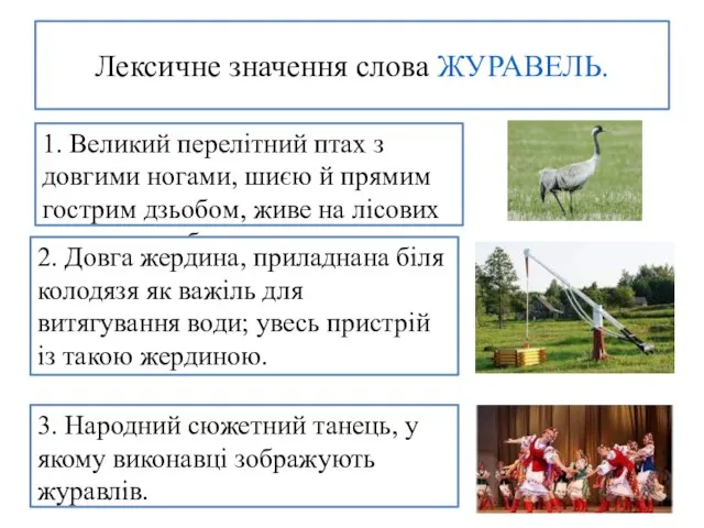 Лексичне значення слова ЖУРАВЕЛЬ. 1. Великий перелітний птах з довгими ногами, шиєю