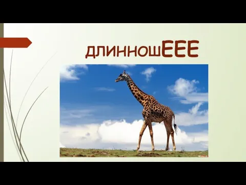 ДЛИННОШЕЕЕ