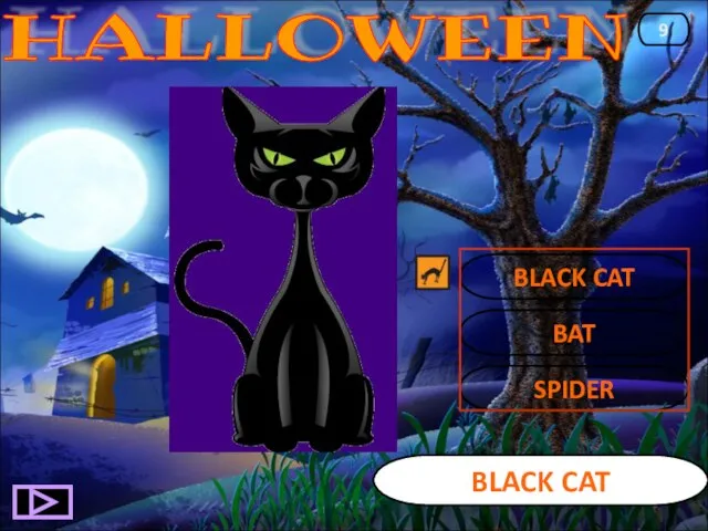 BLACK CAT BLACK CAT 9 BAT SPIDER HALLOWEEN