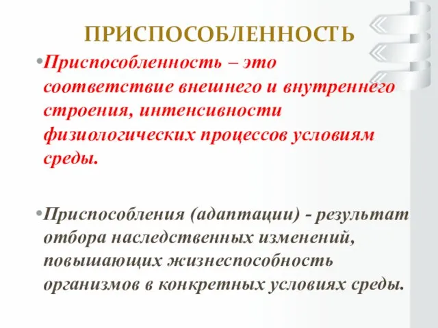 ПРИСПОСОБЛЕННОСТЬ Приспособленность – это соответствие внешнего и внутреннего строения, интенсивности физиологических процессов