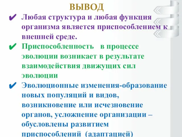 ВЫВОД Любая структура и любая функция организма является приспособлением к внешней среде.