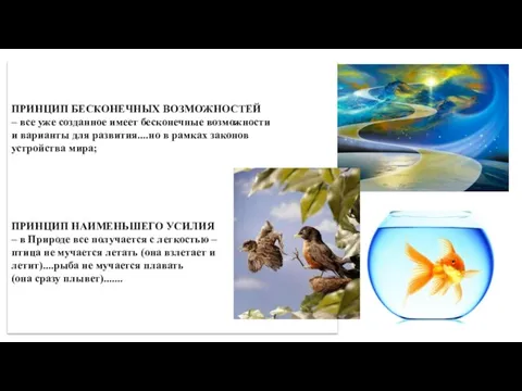 ПРИНЦИП БЕСКОНЕЧНЫХ ВОЗМОЖНОСТЕЙ – все уже созданное имеет бесконечные возможности и варианты