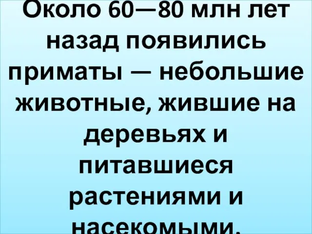 Около 60—80 млн лет назад появились приматы — небольшие животные, жившие на