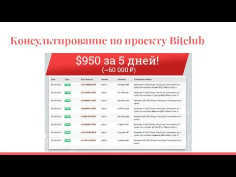 Консультирование по проекту Bitclub