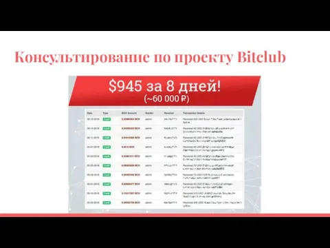 Консультирование по проекту Bitclub