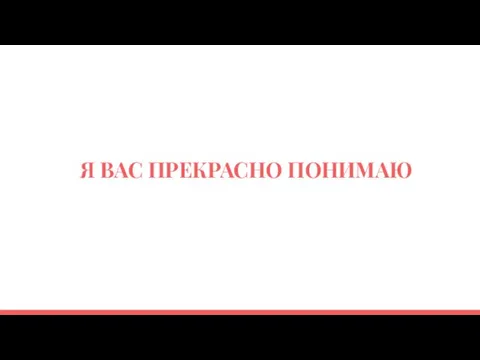 Я ВАС ПРЕКРАСНО ПОНИМАЮ